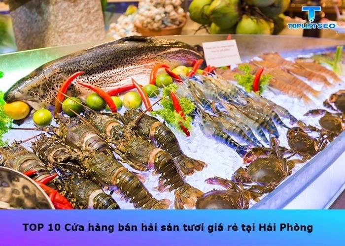 TOP 10 Cửa hàng bán hải sản tươi giá rẻ tại Hải Phòng