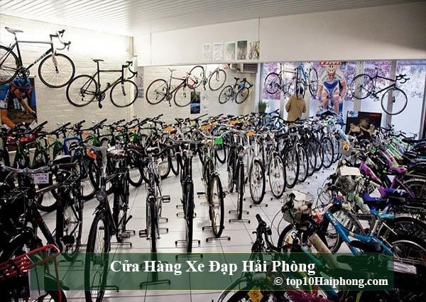 Top 10 cửa hàng xe đạp đa dạng mẫu mã và uy tín nhất tại Hải Phòng