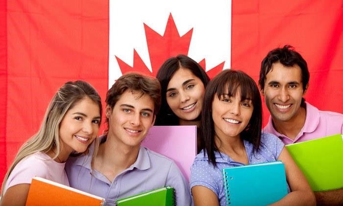 Top 12 Công Ty Tư Vấn Du Học Canada Tại Hải Phòng